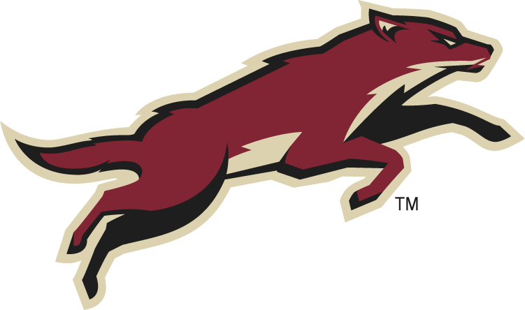 Phoenix Coyotes 2008-Pres Alternate Logo DIY iron on transfer (heat transfer)